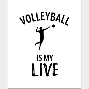 Volleyball Sport Team Play Gift Posters and Art